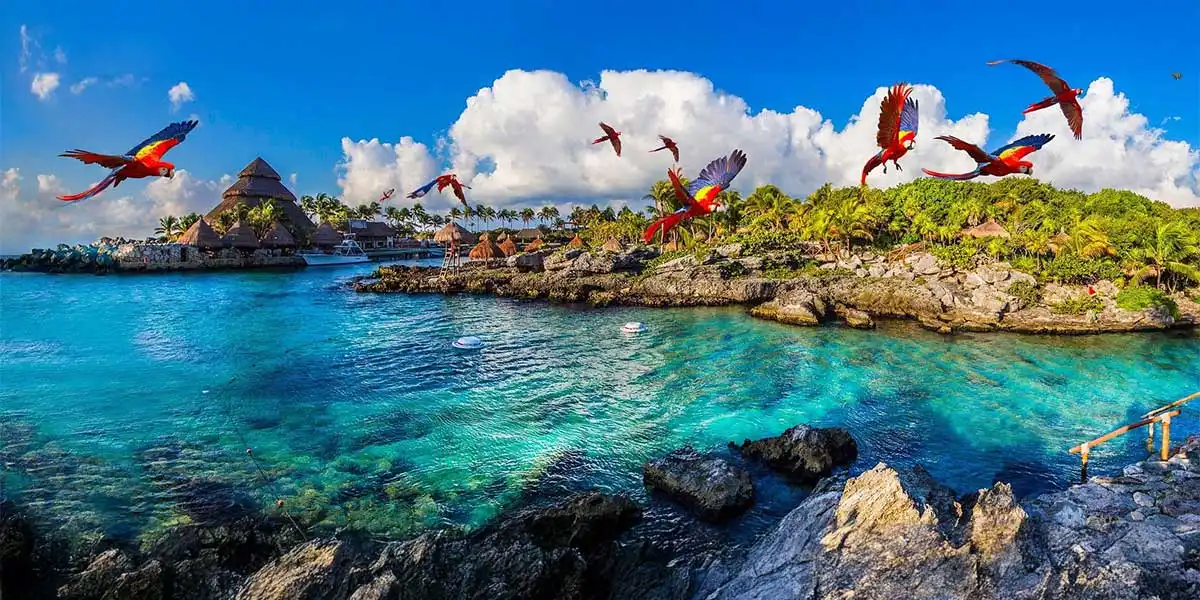 Un día perfecto en Xcaret