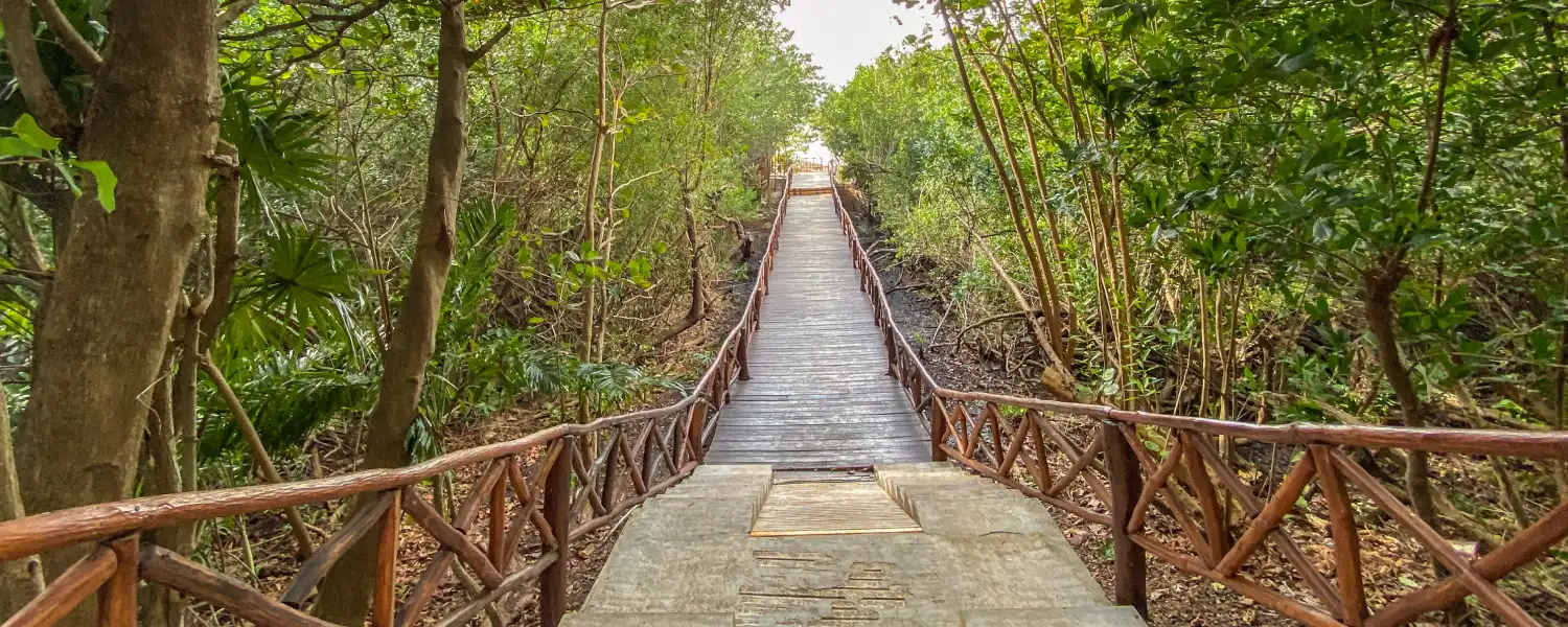 Kayak the Cancun Lagoon with GR Solaris Caribe's all-inclusive package.