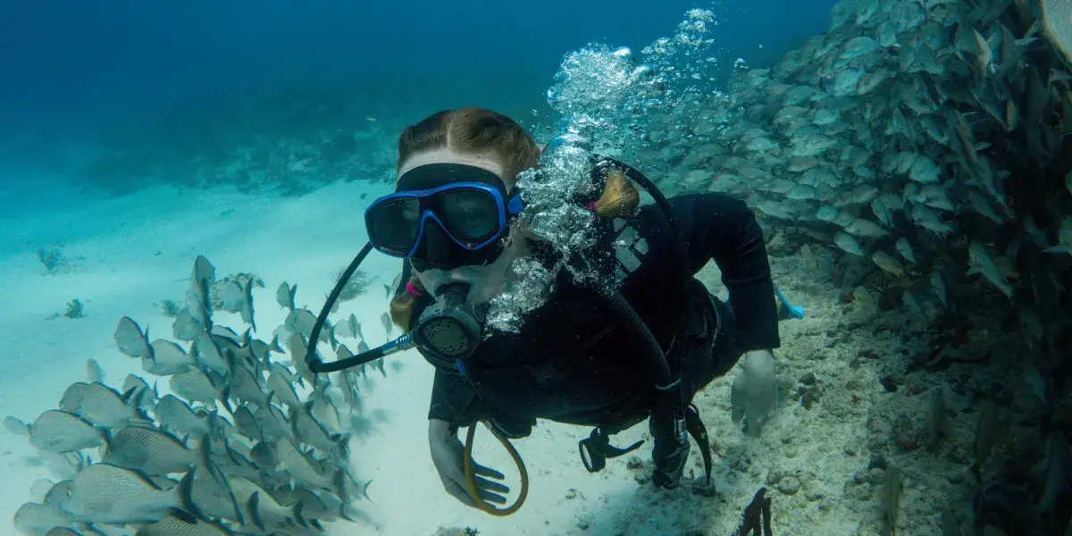 cleaning the sea of cortez