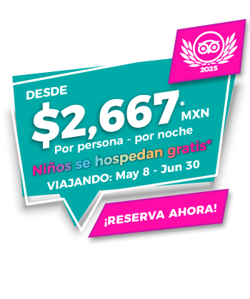 GR Solaris Los Cabos. Niños gratis en GR Solaris Light house, antes Hotel Gran Faro los Cabos. solo 2,667 MXN por persona