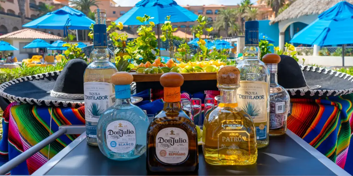 tequila and mezcal bottles