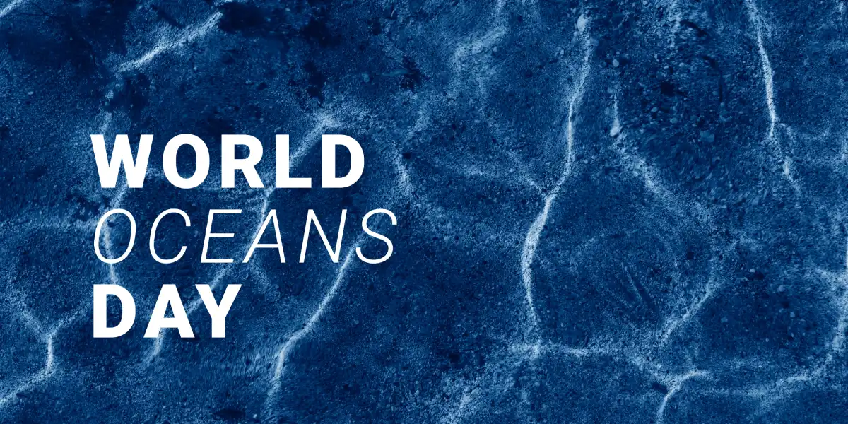 world ocean day celebration at royal solaris
