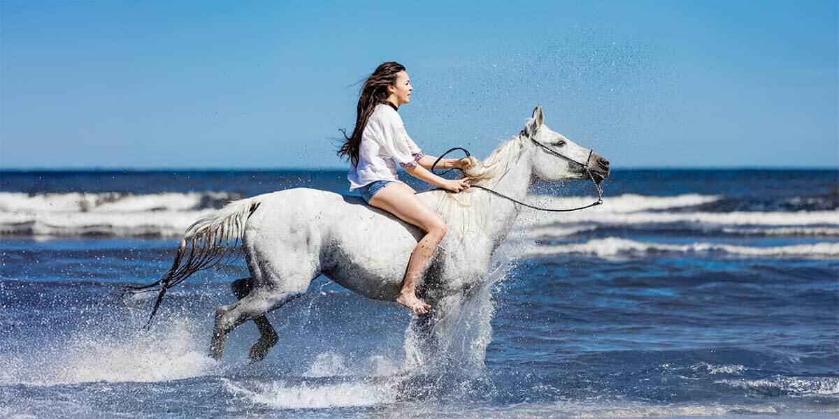 Paseos a caballo en cabo san lucas y san josé del cabo