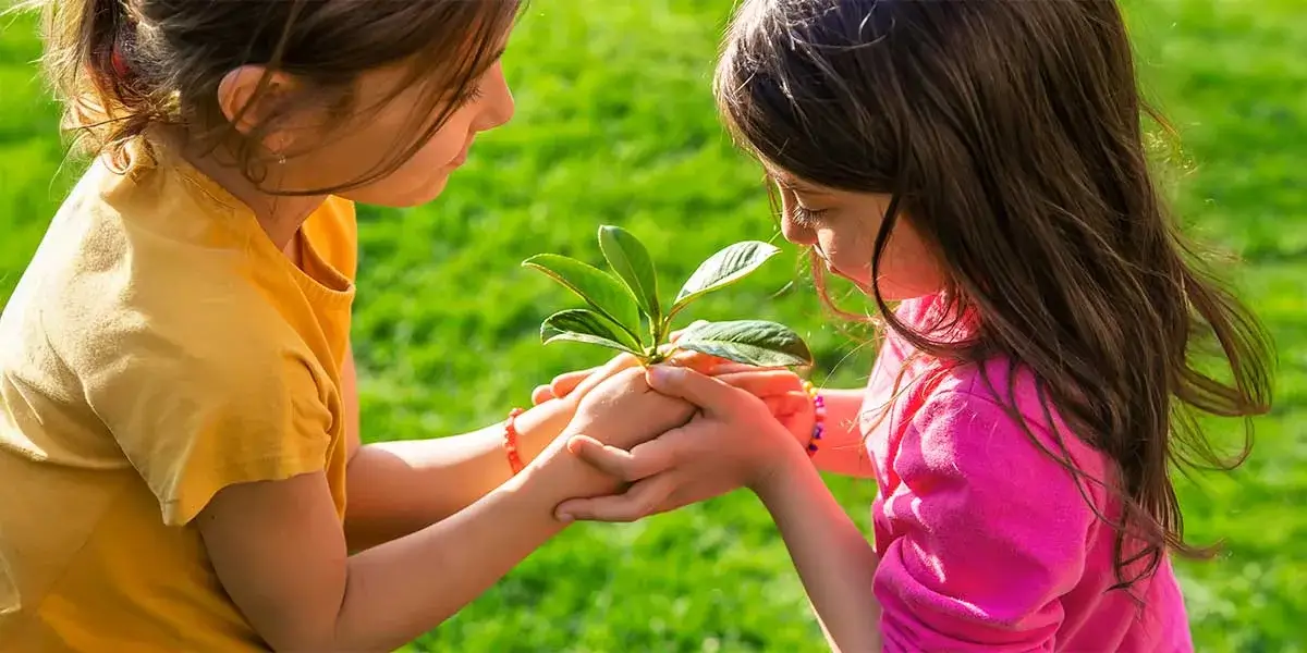 Cuidado al medio ambiente