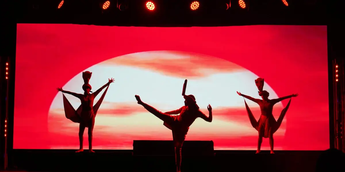 Shows nocturnos