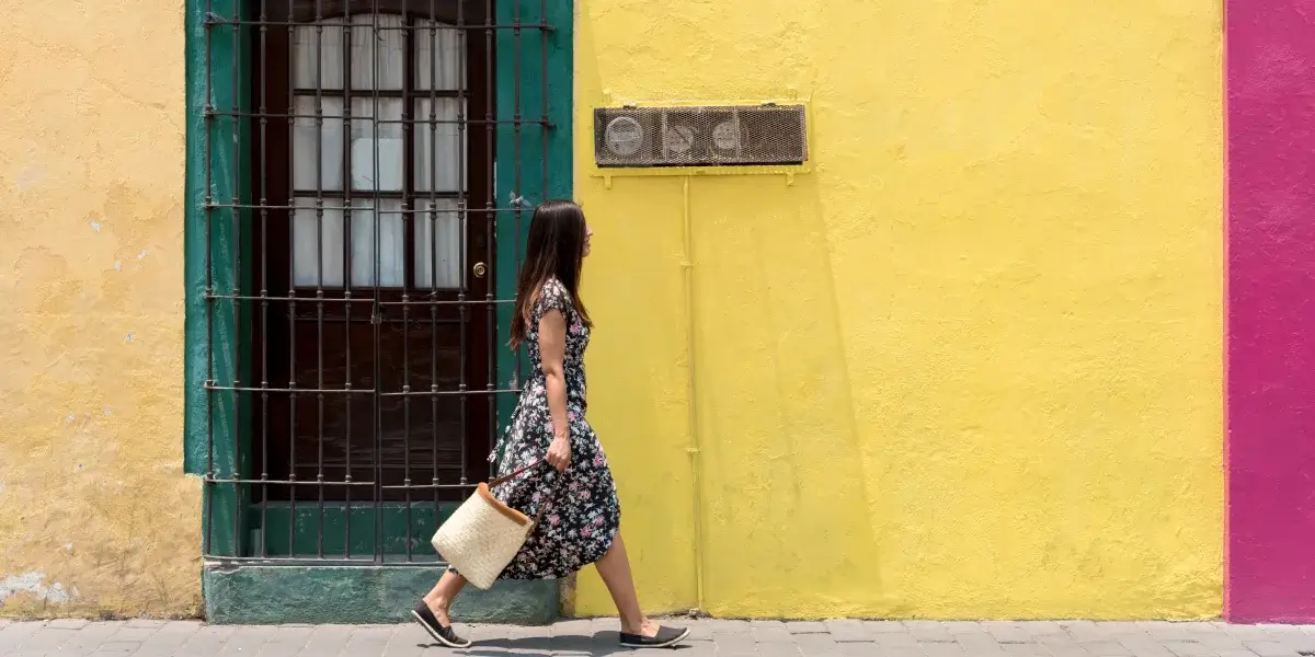 10 problemas mas grandes con Mexico