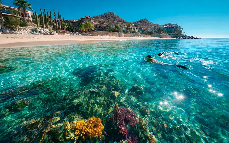 los_cabos_breve_800X500